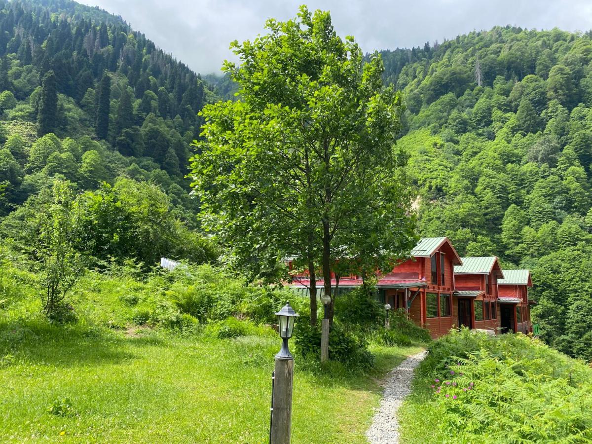 Ayder Villa Gencal Eksteriør bilde