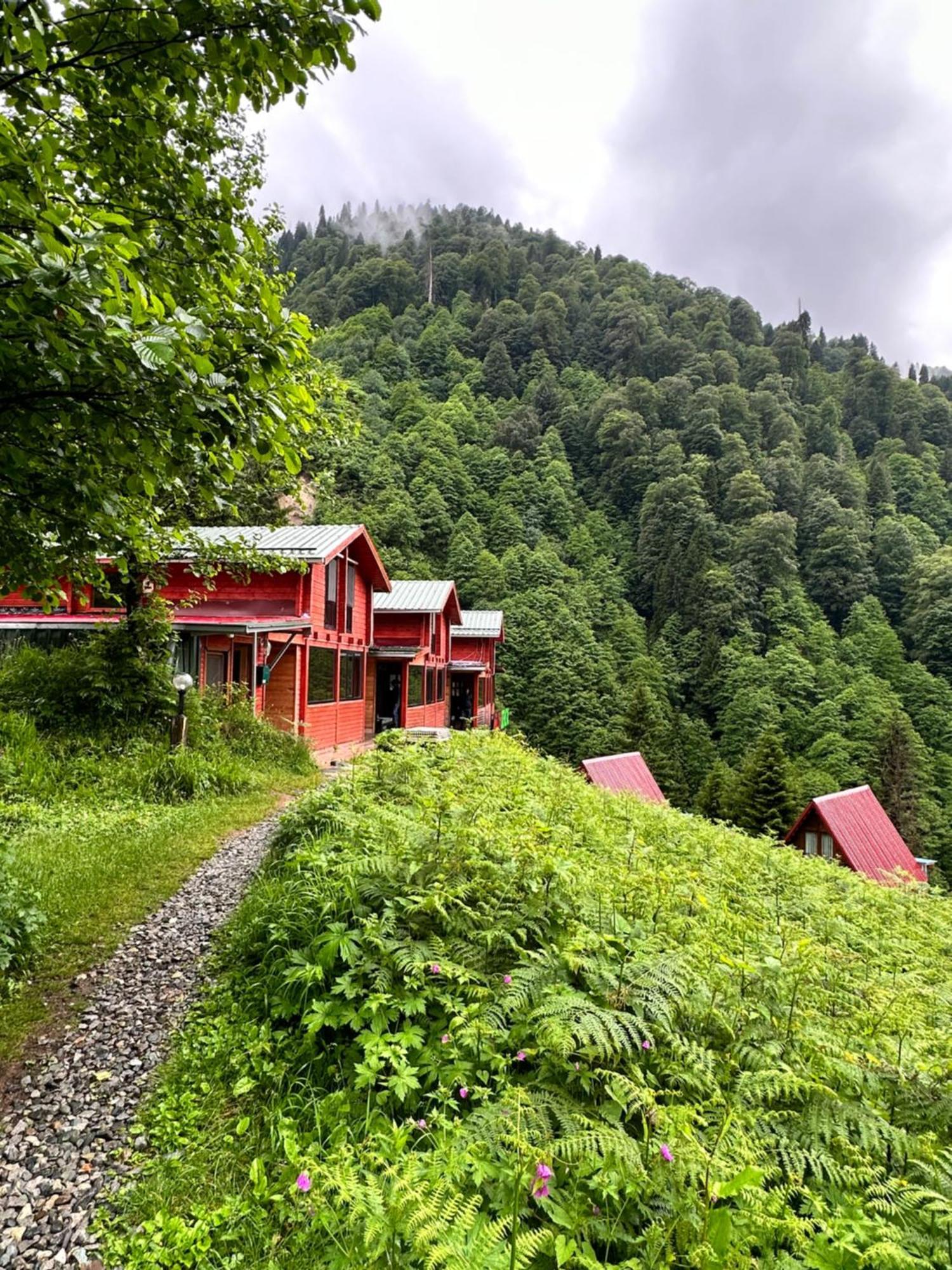 Ayder Villa Gencal Eksteriør bilde