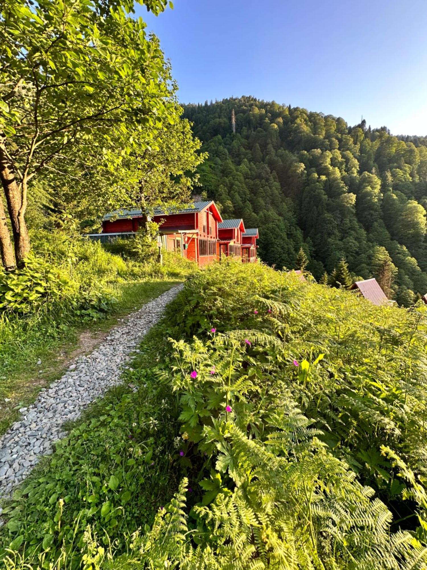 Ayder Villa Gencal Eksteriør bilde